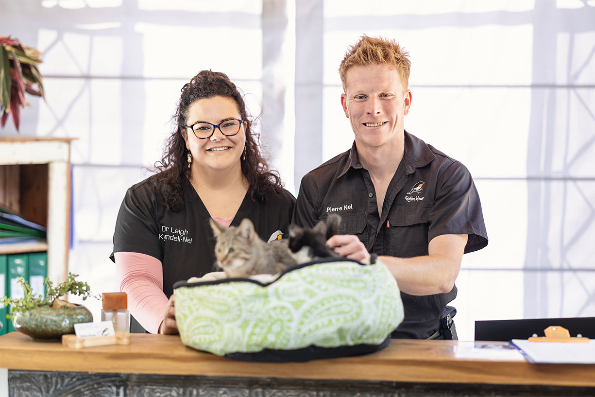Veterinary Director Dr. Leigh and Manager Pierre Nel welcoming two kittens in a plush bed to the front desk of their boutique cat hotel in Benoni.