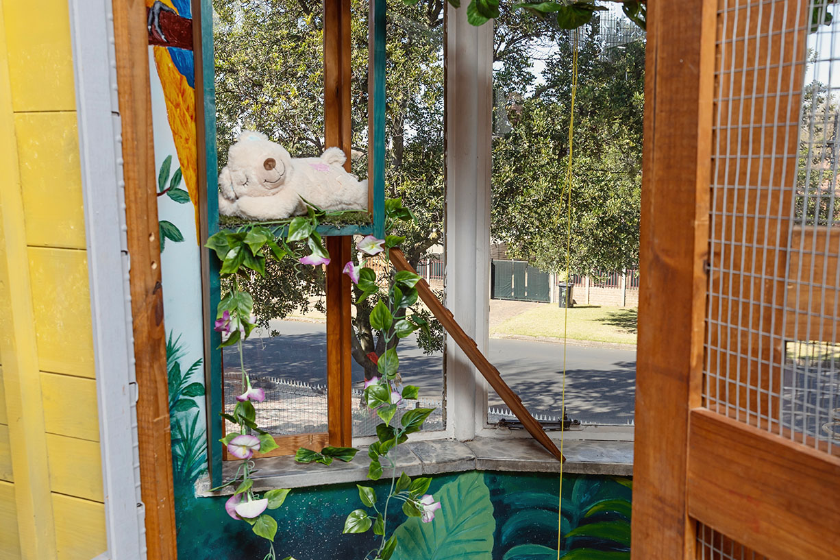 A bright cat boarding enclosure with a sunny window view, decorative vines, and elevated resting shelves at the cat hotel in Johannesburg.