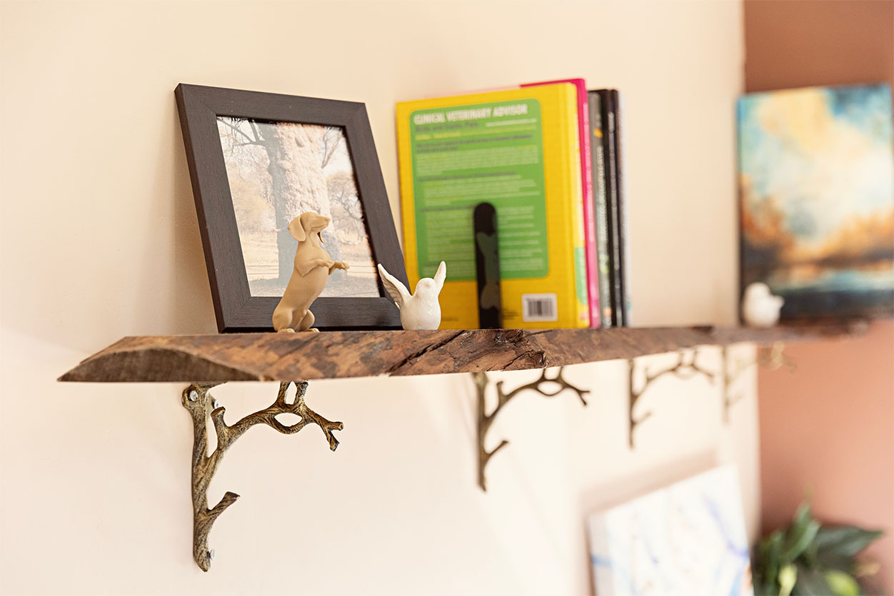 A charming dachshund statue resting on a rustic wooden shelf inside The Robin House boutique dog hotel in Johannesburg.