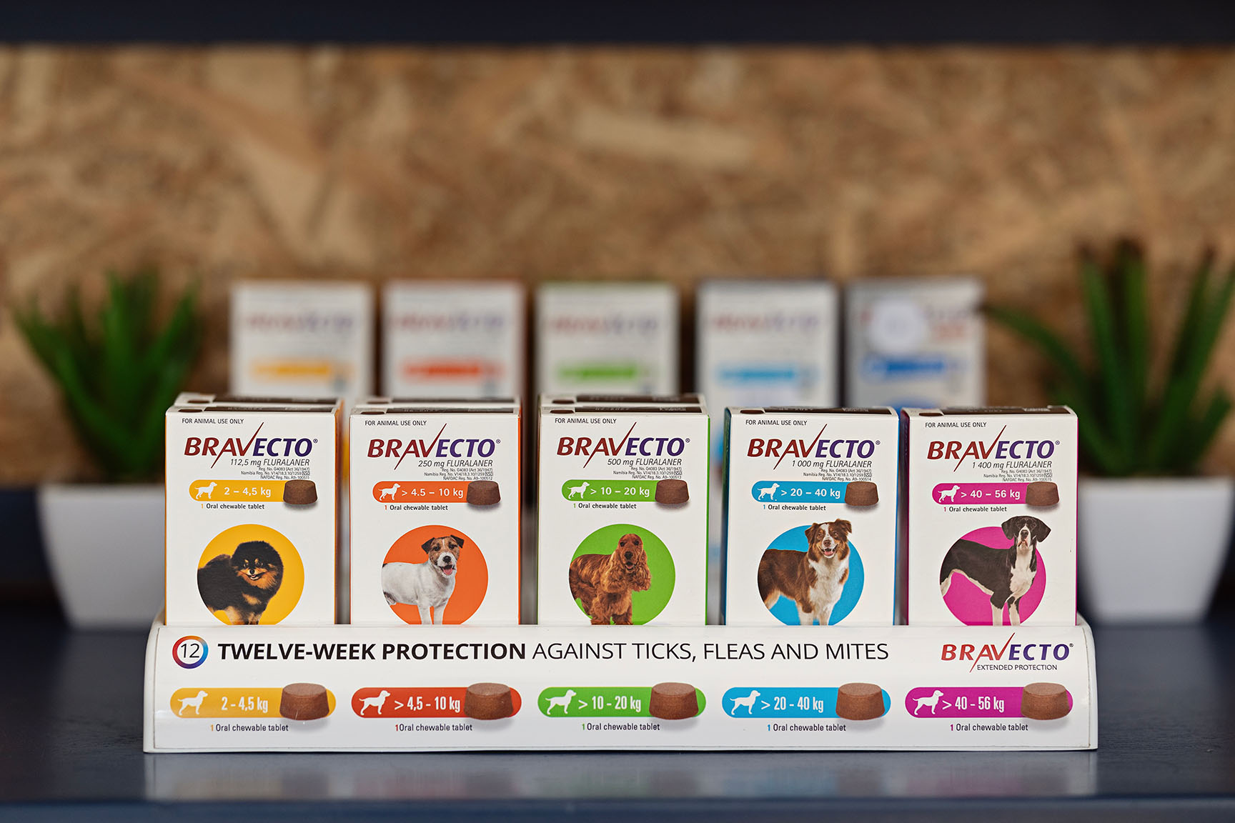 A display of Bravecto tick and flea chewable tablets for dogs at The Robin House Essential Provisions vet shop in Benoni.