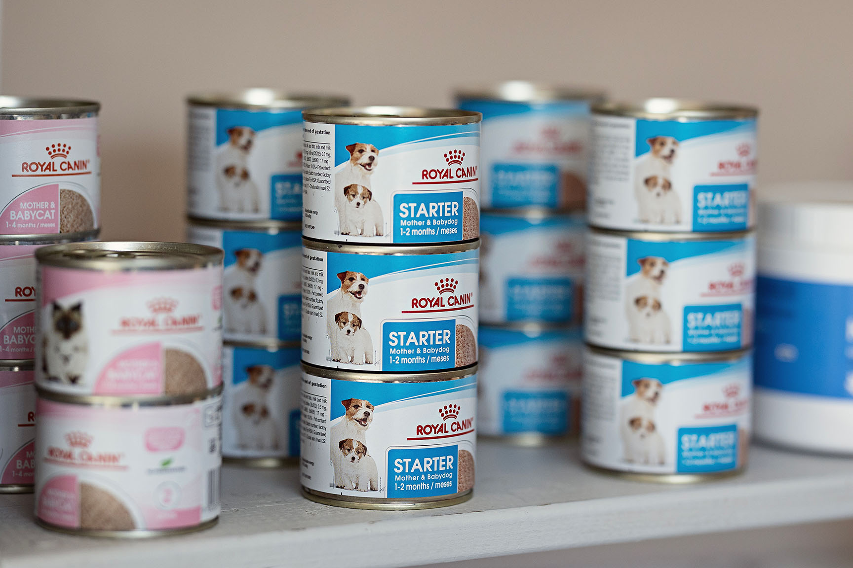 Stacks of Royal Canin Starter Mother and Babydog wet food cans available at the Essential Provisions vet shop in Benoni.