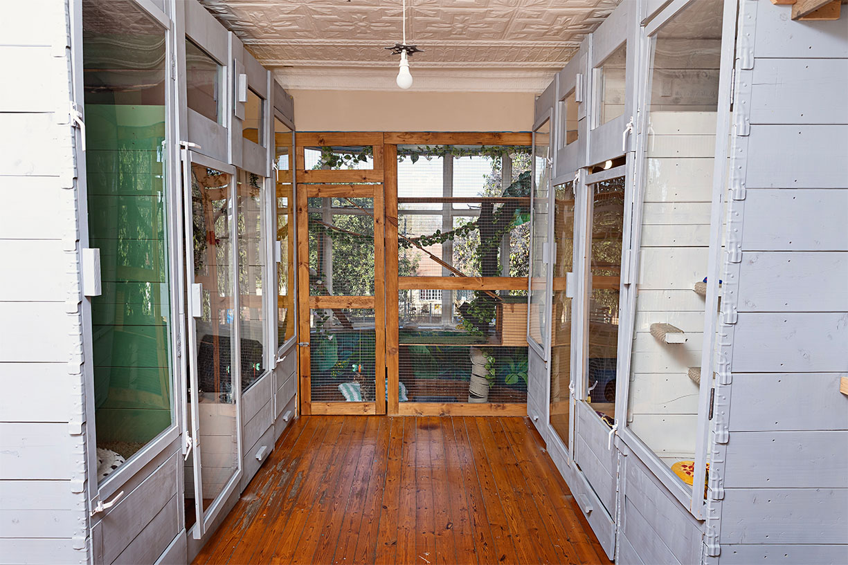 A hallway of clean, multi-level indoor boarding enclosures for exotic pets and rabbits at The Robin House in Johannesburg.