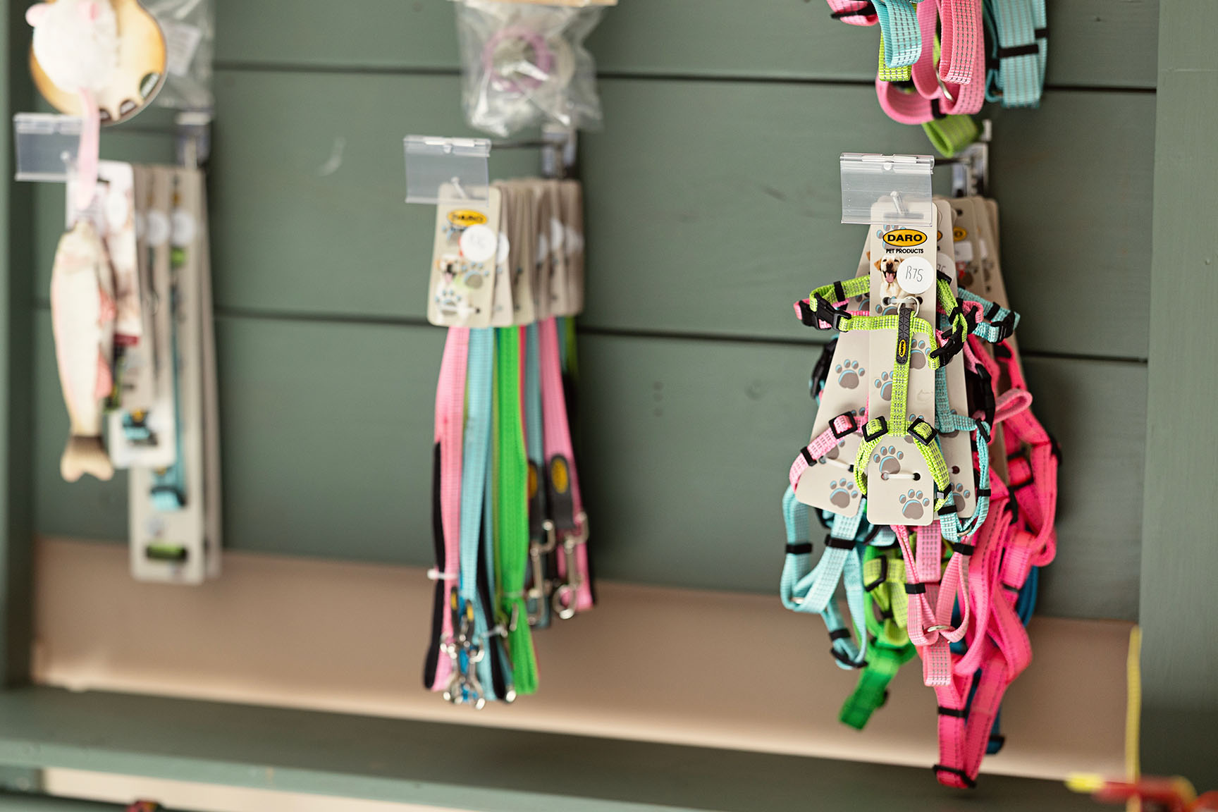 Colorful Daro dog harnesses and walking accessories on display at the Pantry and Provisions vet shop in Johannesburg.