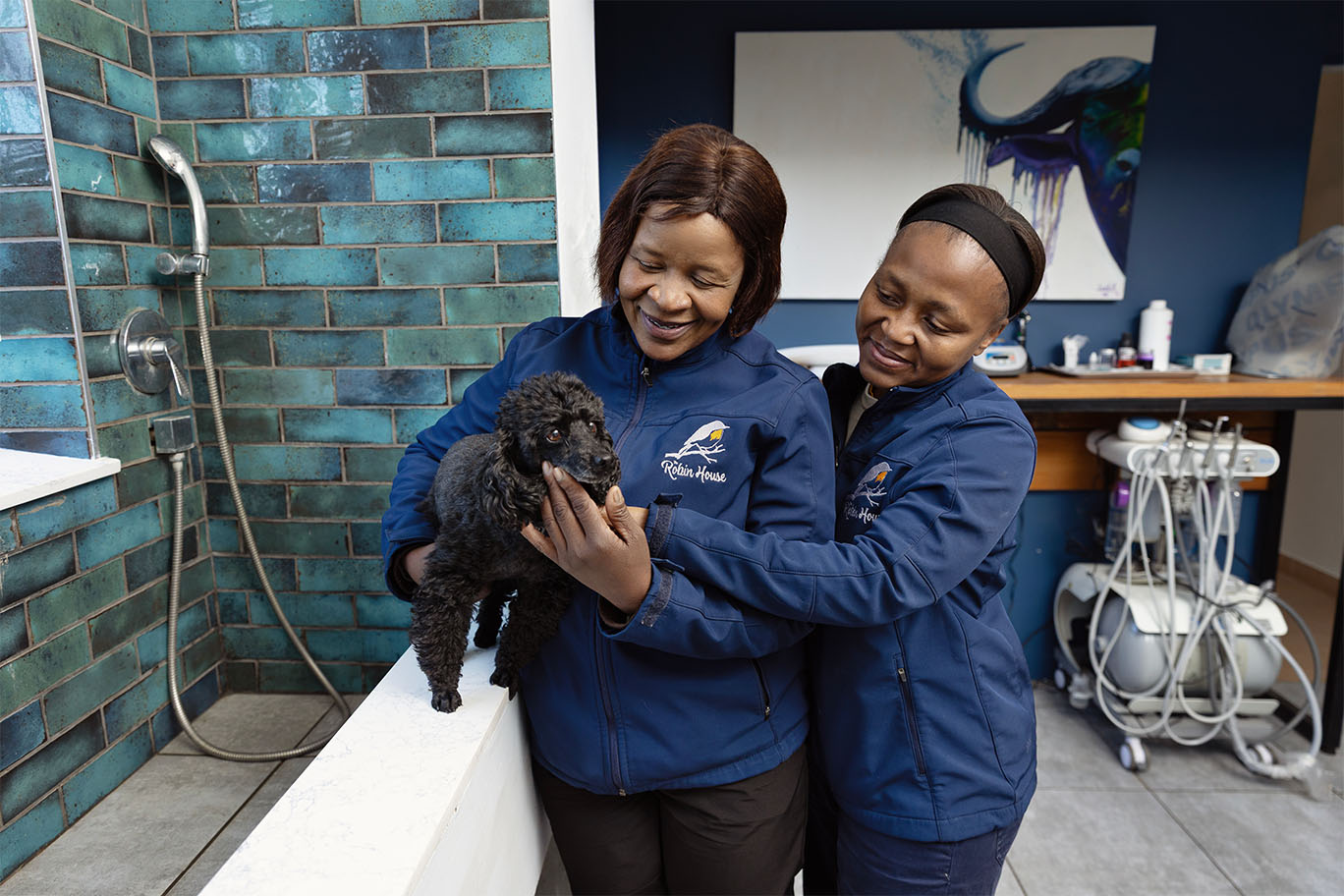 Professional pet groomers washing a small black dog in the specialized spa bath at The Robin House in Benoni.