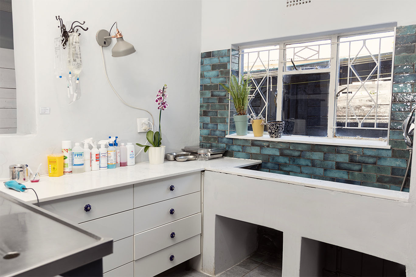 A bright, professional pet grooming wash room featuring specialized cleaning supplies and natural light at The Robin House.