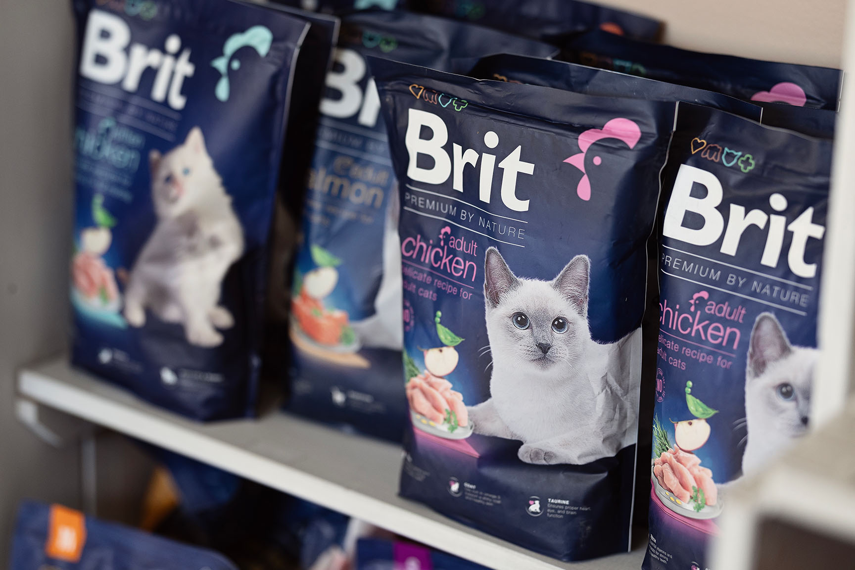 Bags of Brit Premium by Nature adult chicken cat food stocked on the shelves at The Robin House vet shop in Benoni.