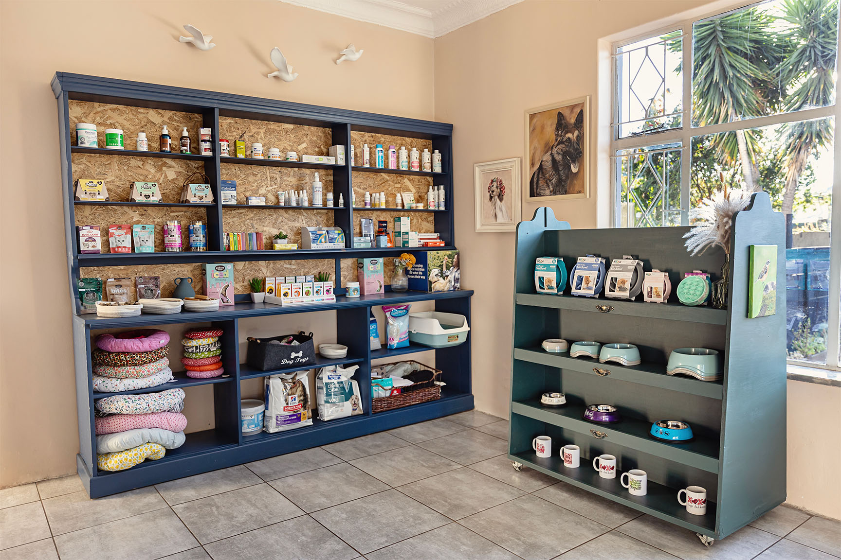 A wide view of the Essential Provisions vet shop in Johannesburg, featuring shelves of premium pet food, beds, and ceramic bowls.