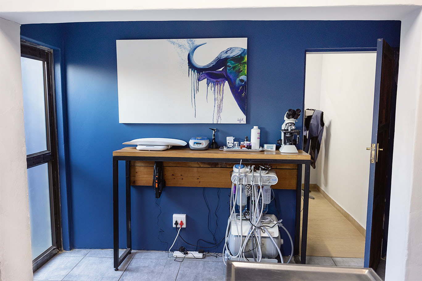A dedicated veterinary dental station and medical equipment setup inside a treatment room at The Robin House in Johannesburg.