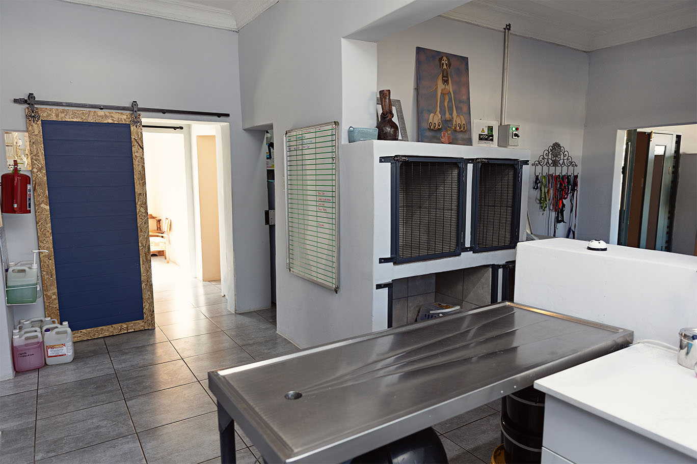 A clean veterinary treatment room featuring a stainless steel examination table and recovery kennels at The Robin House in Johannesburg.