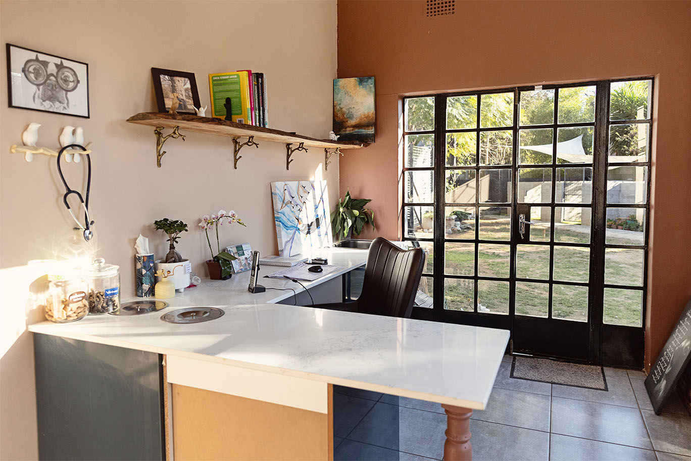 A bright, welcoming veterinary consultation room at The Robin House in Johannesburg with a desk and view of the garden.